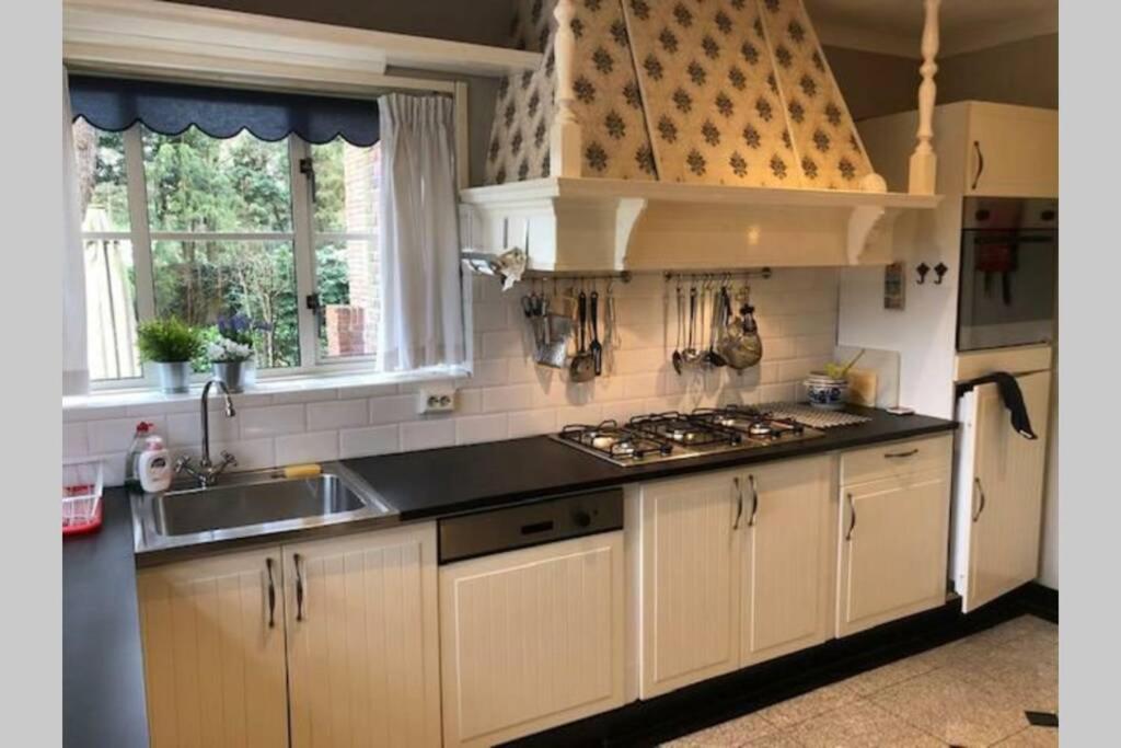 Vrijstaande Rietgedekte Villa Nabij Uitvalswegen Wassenaar Exteriér fotografie
