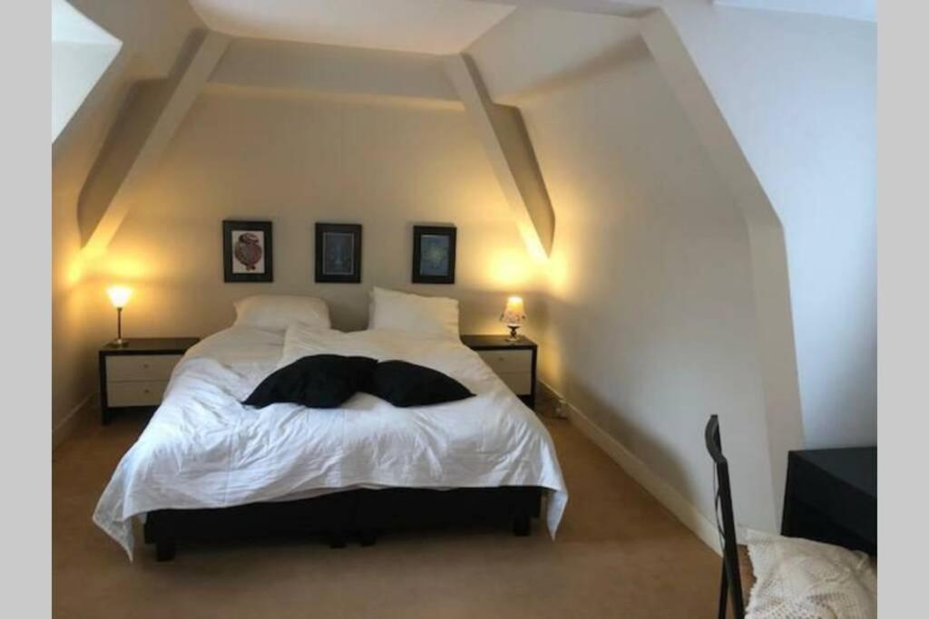 Vrijstaande Rietgedekte Villa Nabij Uitvalswegen Wassenaar Exteriér fotografie